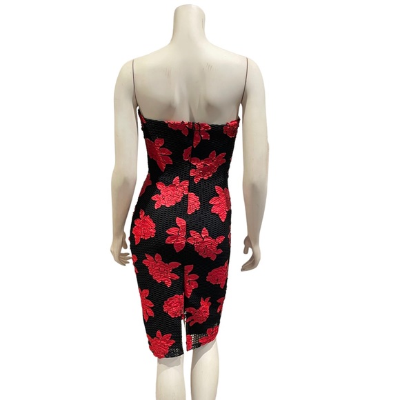 Mystic Floral Rose Appliqué Mesh Bodycon Dress - Picture 7 of 14